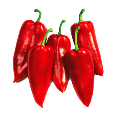 Paprika šilja crvena