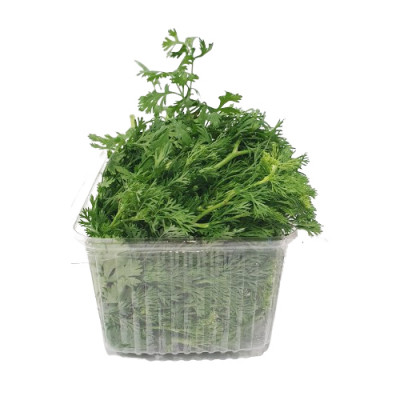 Svježi korijander 100 g