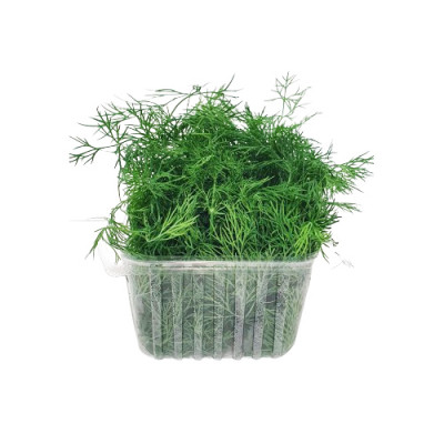 Svježa mirođija 100 g