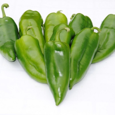 Paprika šilja zelena
